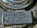 IMG_3494.JPEG