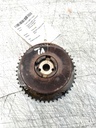 MTD-529436-1