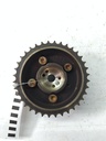 MTD-536217-2