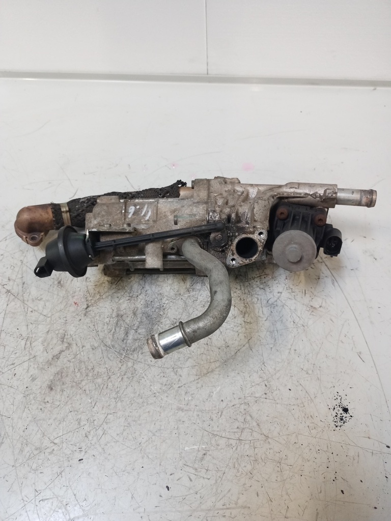 MTD-429039-1