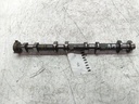 MTD-536508-1