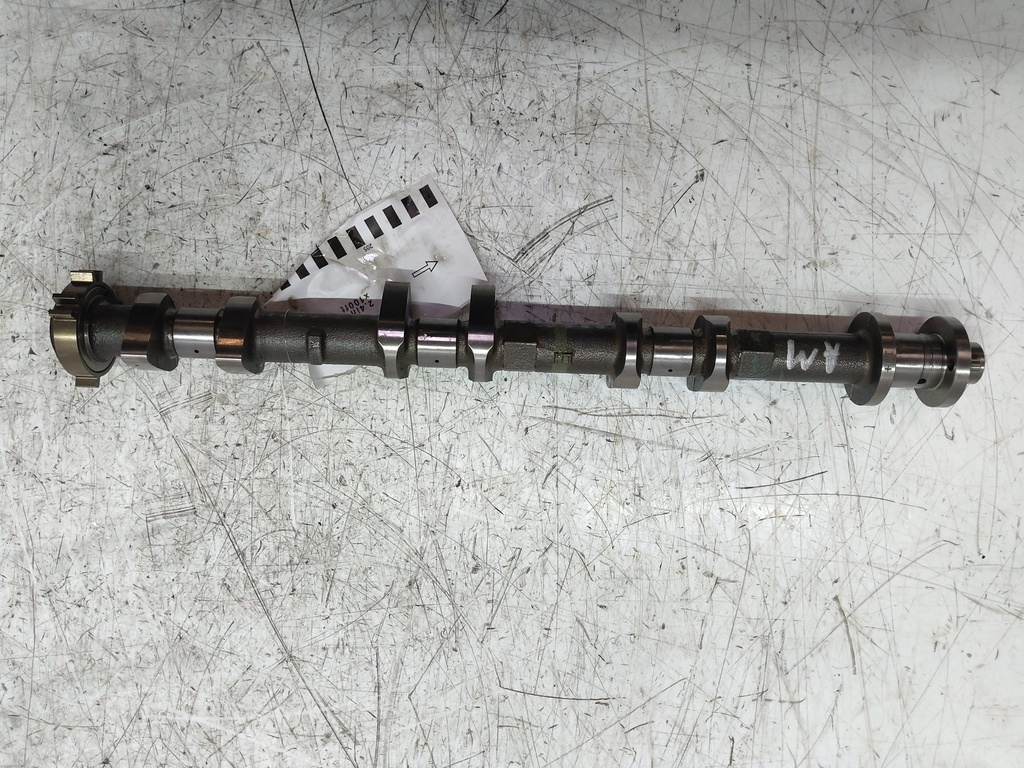MTD-536509-1