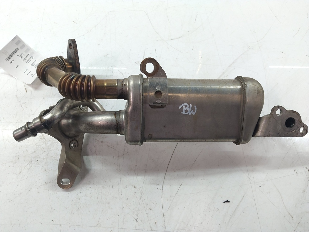 MTD-536365-1