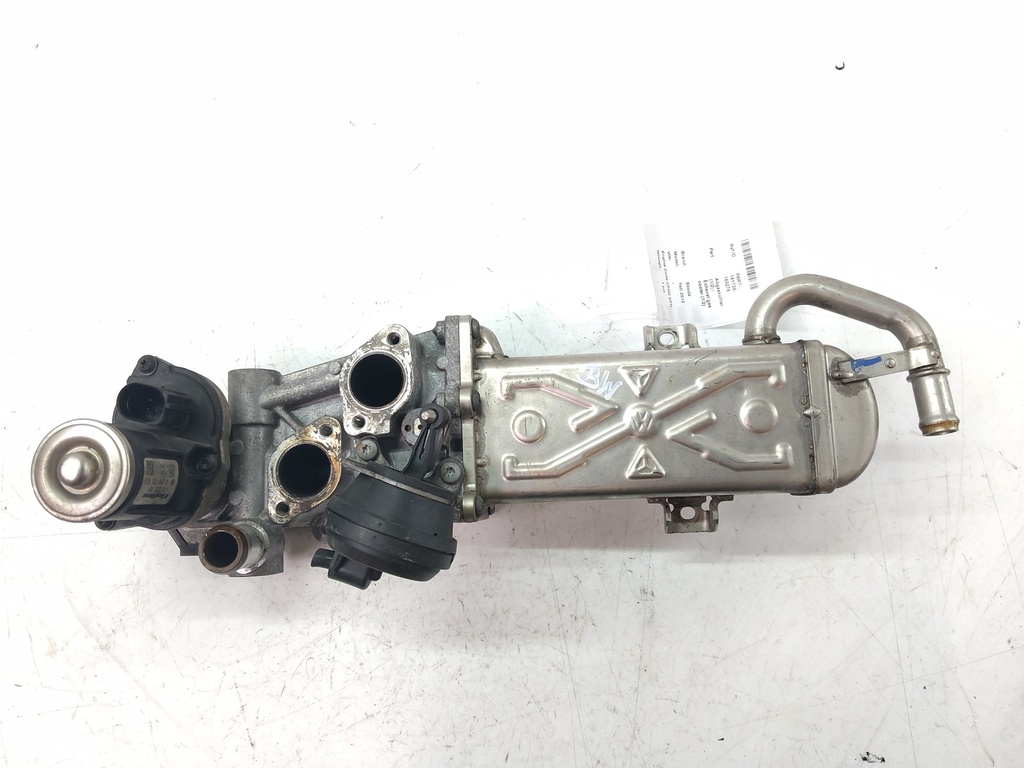 MTD-536486-1