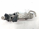 MTD-536486-1