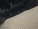 STARK-855824-5