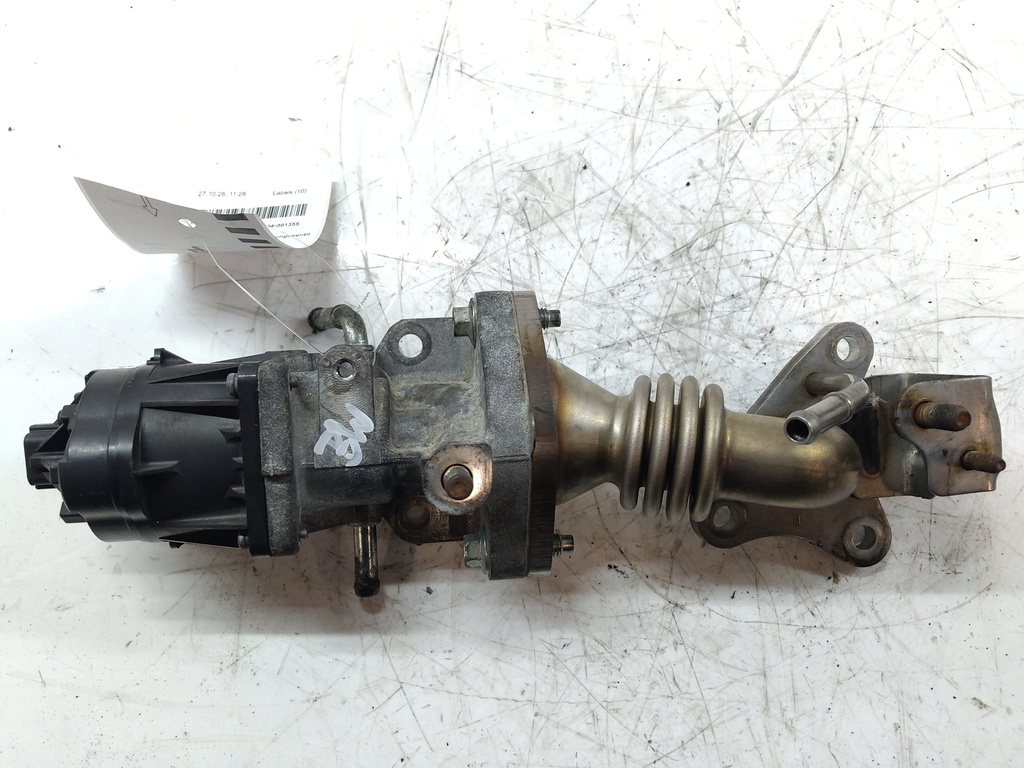 MTD-550313-1