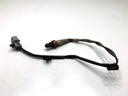 STARK-832808-1