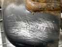 STARK-885123-2