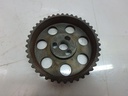 MTD-107934-1