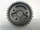 MTD-106437-1