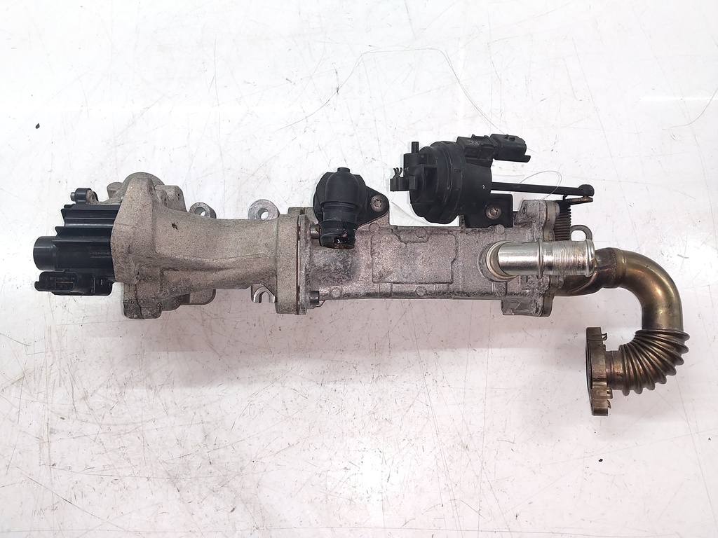 MTD-536559-1