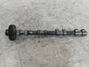 MTD-536549-1