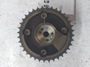 MTD-536727-1
