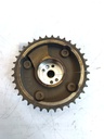 MTD-536584-1