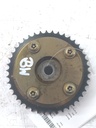 MTD-536775-1