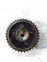 MTD-537064-1