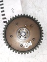 MTD-536924-1