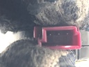 STARK-844845-2