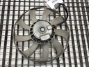 STARK-825097-1