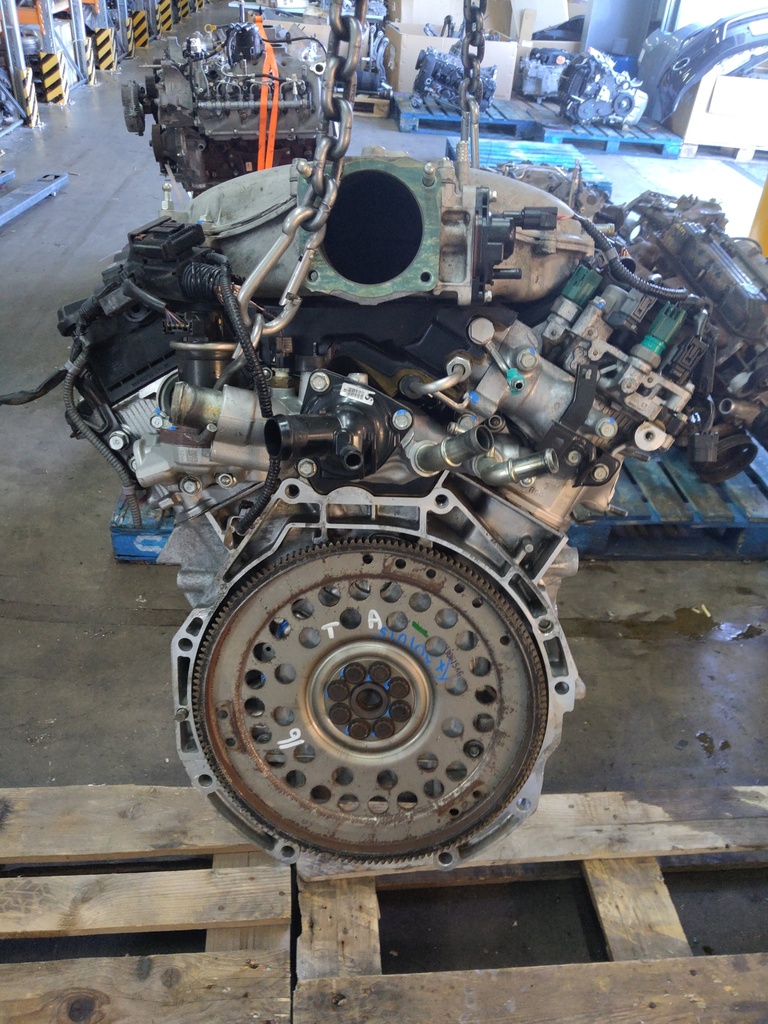 MTD-527242-2