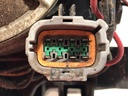 STARK-494449-5