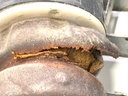 STARK-764996-3