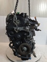 MTD-516883-1
