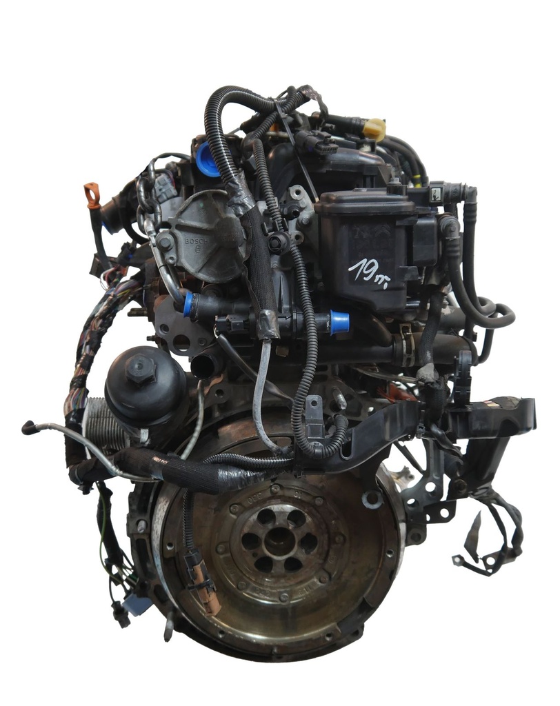 MTD-487925-1