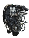 MTD-487925-2