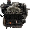 MTD-491204-1