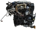 MTD-491274-1