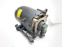 STARK-797148-1