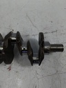 MTD-513883-1