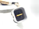 STARK-892855-1