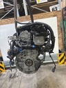 MTD-516997-1
