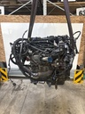 MTD-516997-2