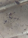 MTD-509692-1