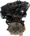 MTD-493412-1