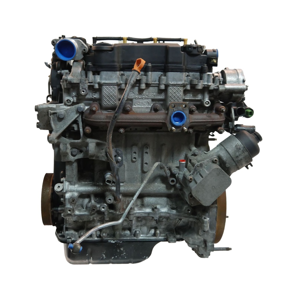 MTD-501594-1