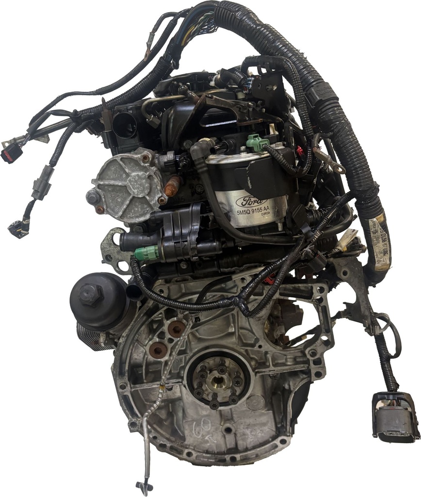 MTD-491870-1
