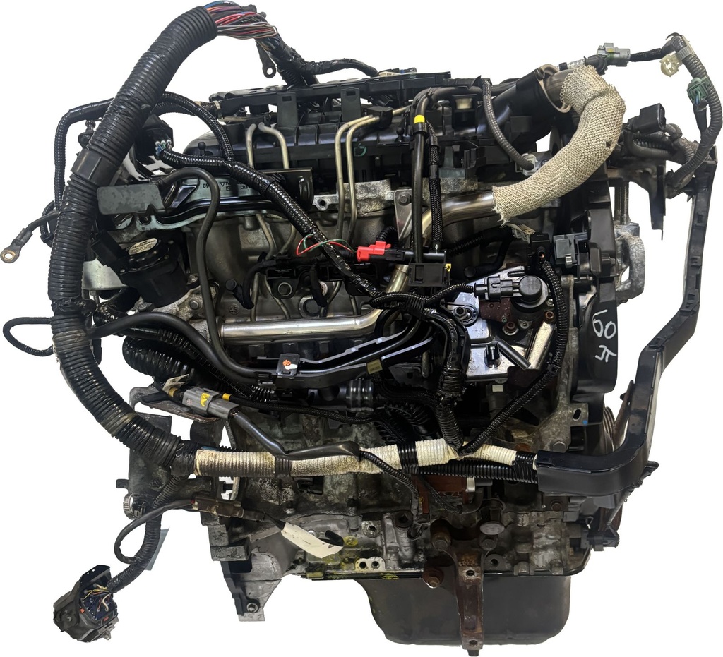 MTD-491870-2