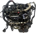 MTD-491870-2