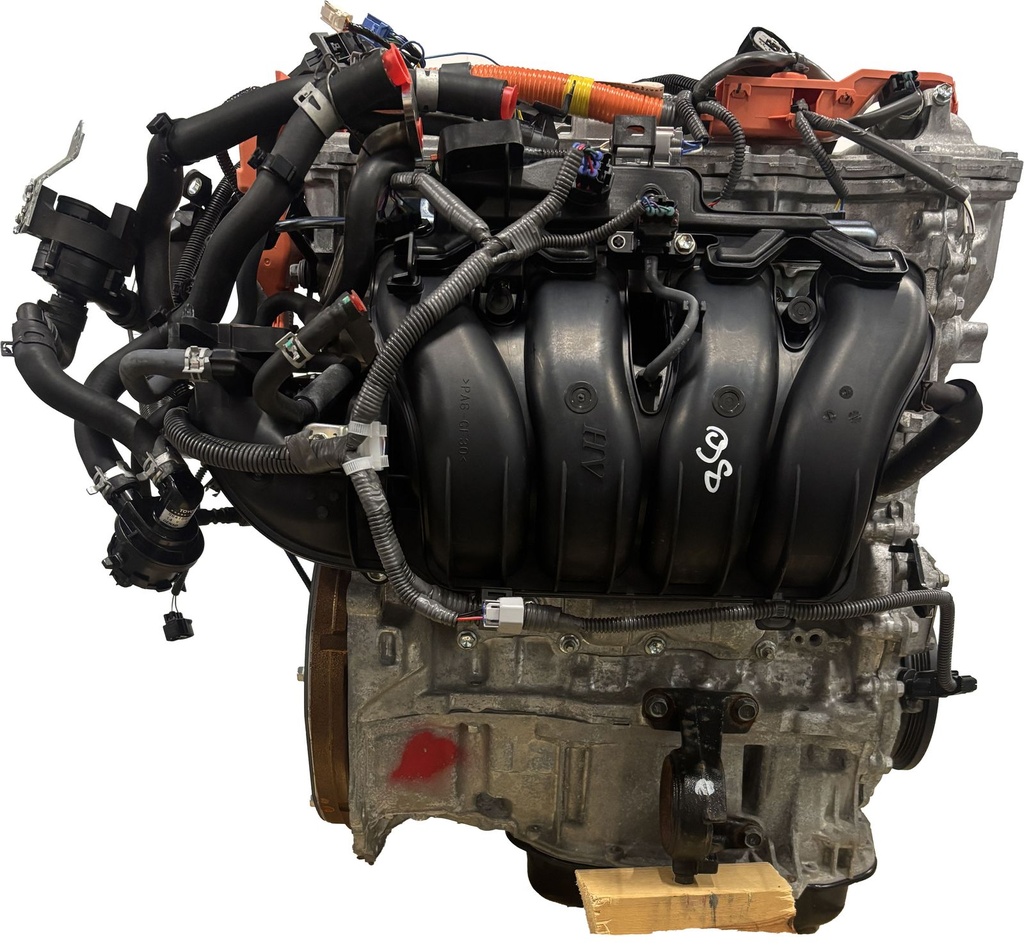 MTD-492694-1