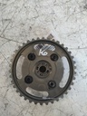 MTD-537439-1
