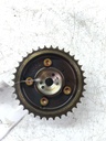 MTD-537246-1