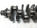 MTD-537848-7