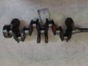 MTD-537789-1