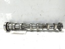 MTD-537562-1