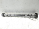 MTD-537536-1